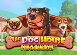 sylvansteenbrink: The Dog House Megaways